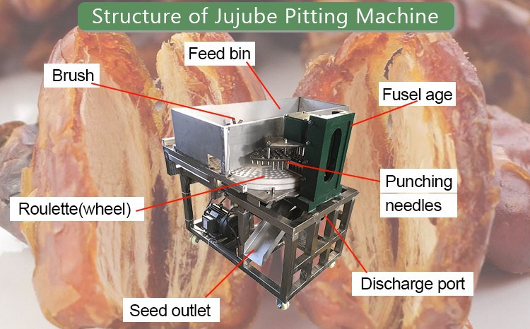 jujube pitting machine jujube pitting machine