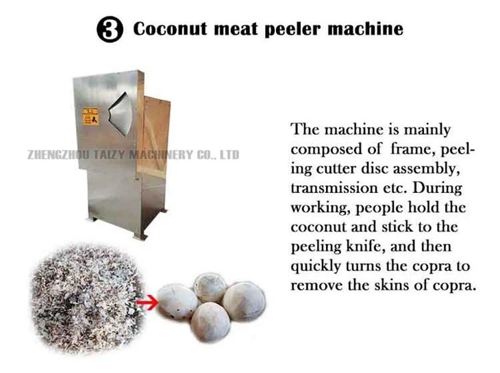 coconut meat peeler machine