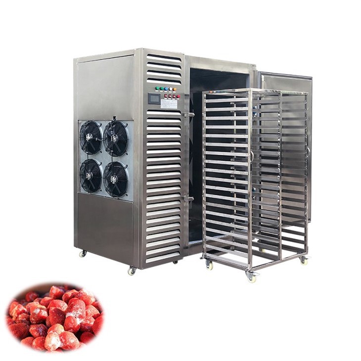 blast freezer (3)