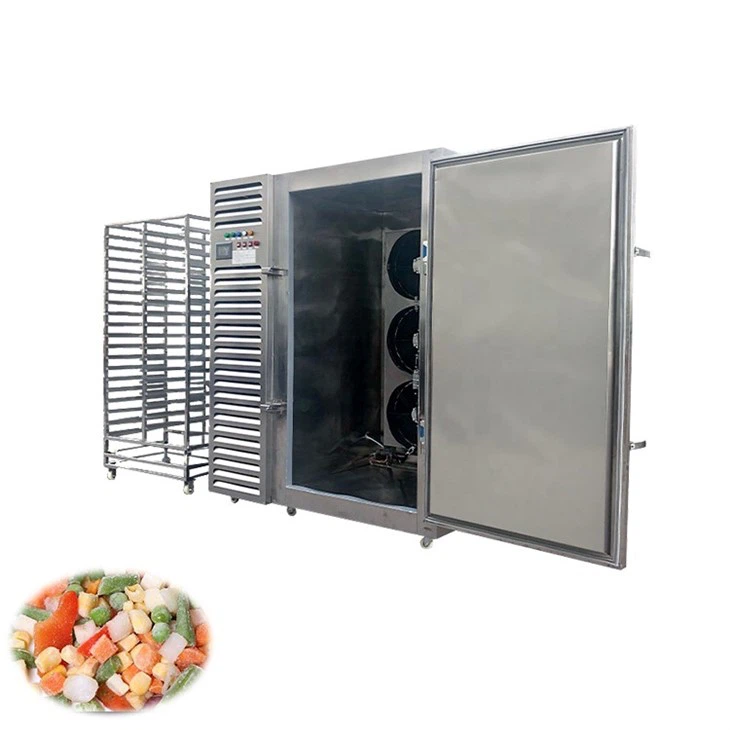 blast freezer (2)