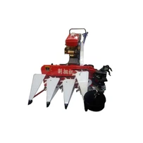 Mini Combine Harvester Rau Paddy