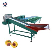 Qhov hnyav sorting tshuab