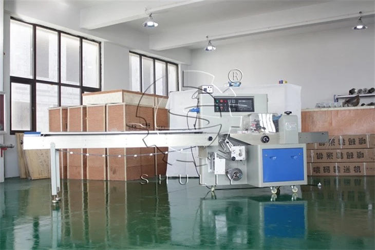 packing machine (6)