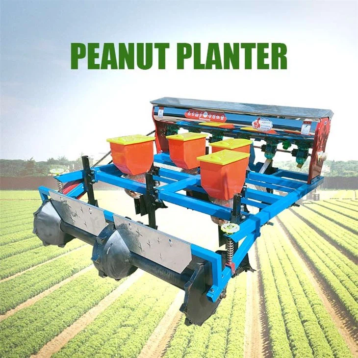 peanut seeds for planting3