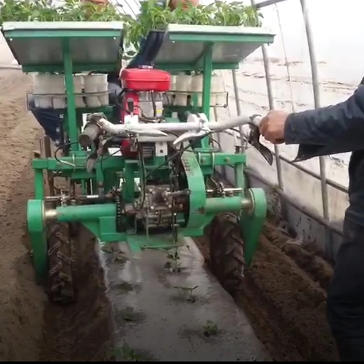 Onion transplanter Onion transplanter