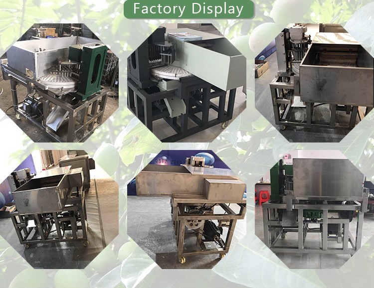 plum pitting machine plum pitting machine