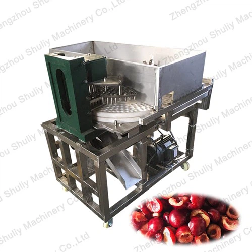 Dates Seed Remover Tshuab